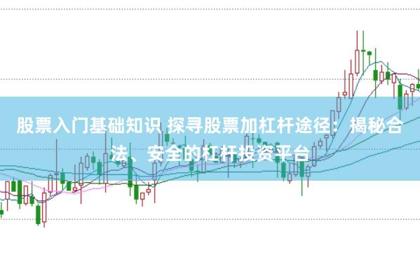股票入门基础知识 探寻股票加杠杆途径：揭秘合法、安全的杠杆投资平台