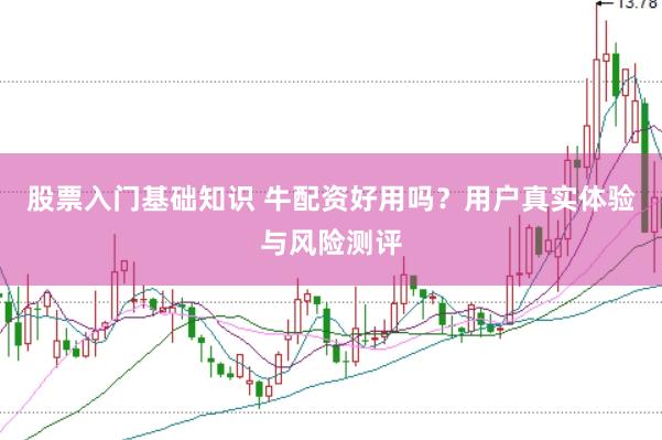 股票入门基础知识 牛配资好用吗？用户真实体验与风险测评