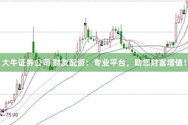 大牛证券公司 财友配资：专业平台，助您财富增值！
