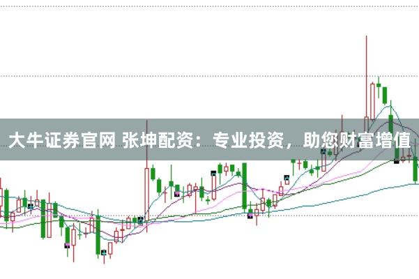 大牛证券官网 张坤配资：专业投资，助您财富增值