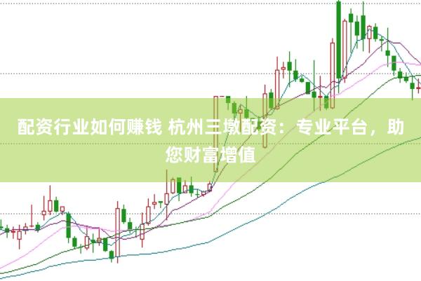 配资行业如何赚钱 杭州三墩配资：专业平台，助您财富增值