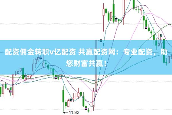 配资佣金转职v亿配资 共赢配资网：专业配资，助您财富共赢！