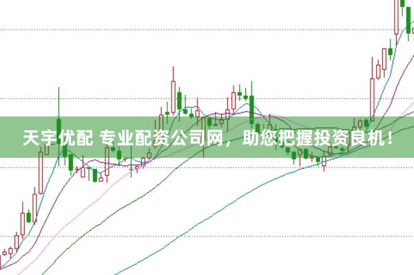 天宇优配 专业配资公司网，助您把握投资良机！