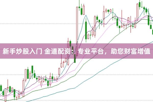 新手炒股入门 金道配资：专业平台，助您财富增值