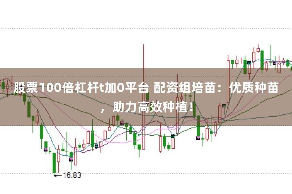 股票100倍杠杆t加0平台 配资组培苗：优质种苗，助力高效种植！