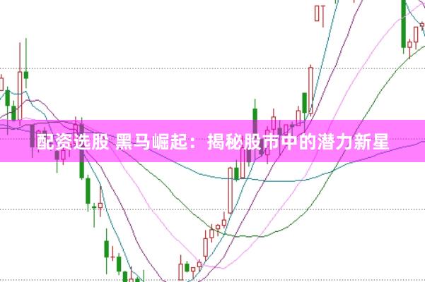 配资选股 黑马崛起：揭秘股市中的潜力新星
