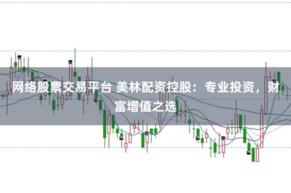 网络股票交易平台 美林配资控股：专业投资，财富增值之选
