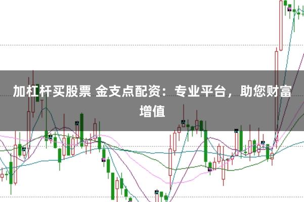 加杠杆买股票 金支点配资：专业平台，助您财富增值
