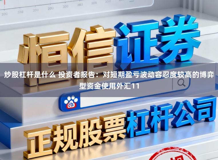 炒股杠杆是什么 投资者报告：对短期盈亏波动容忍度较高的博弈型资金使用外汇11